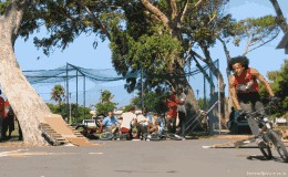 In Motion - Clint Jacobs. Tree ride