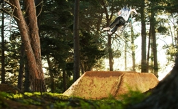 Malcolm Peters. Bel Airedit