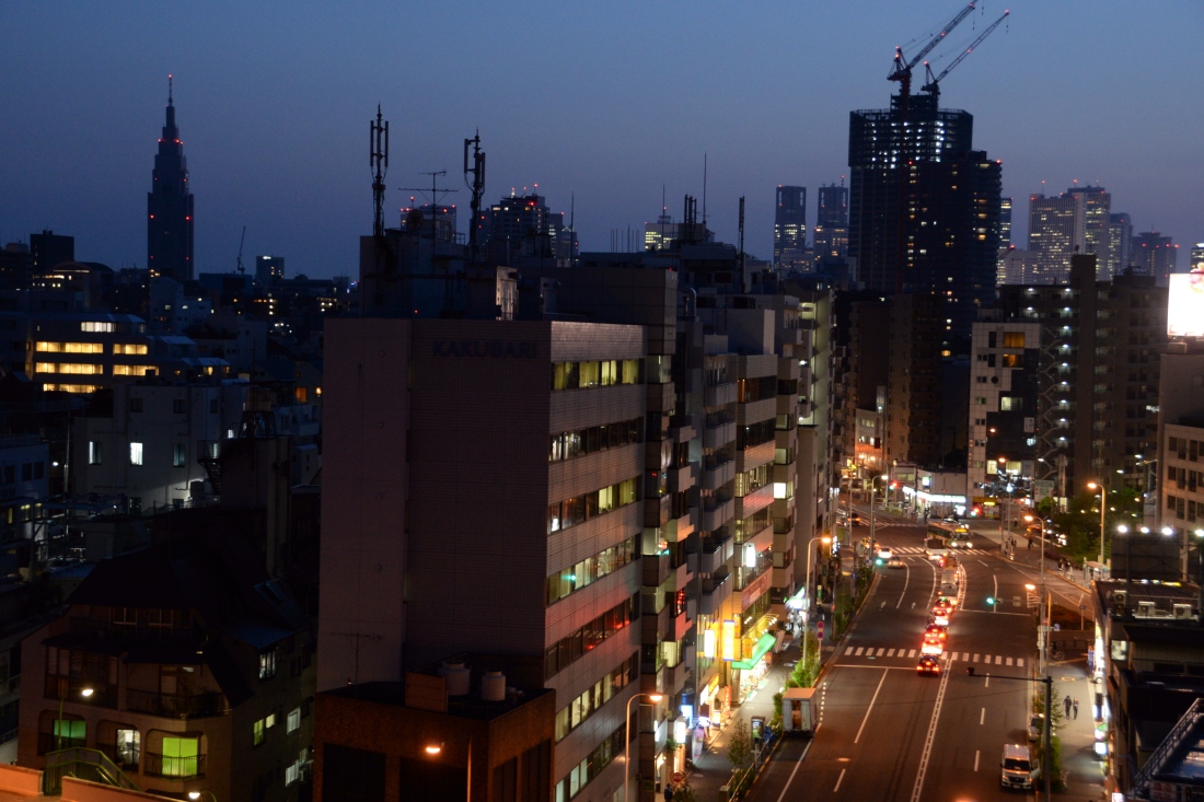 The Tokyo skyline from the 9th floor of my hostel in Akebonobashi, Tokyo.