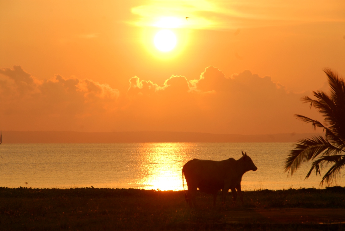 Sunsets...