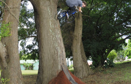 Kyle Zandy Lost Crash Footage