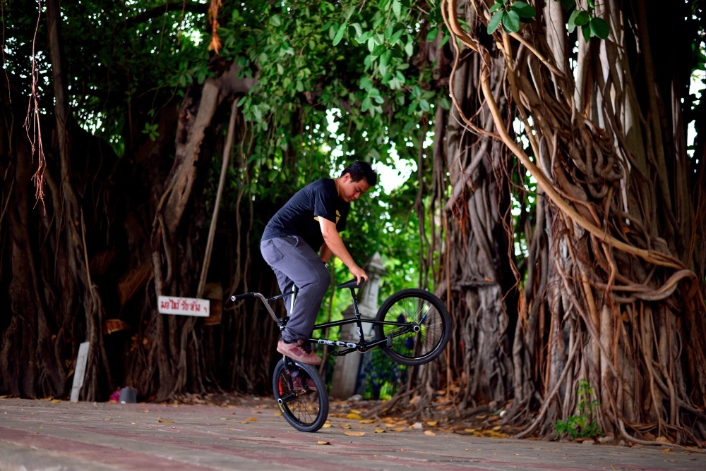 Date kicking it funky under some mangroves near the Palace in Bangkok.