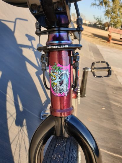 Jacques Bike Check 2019