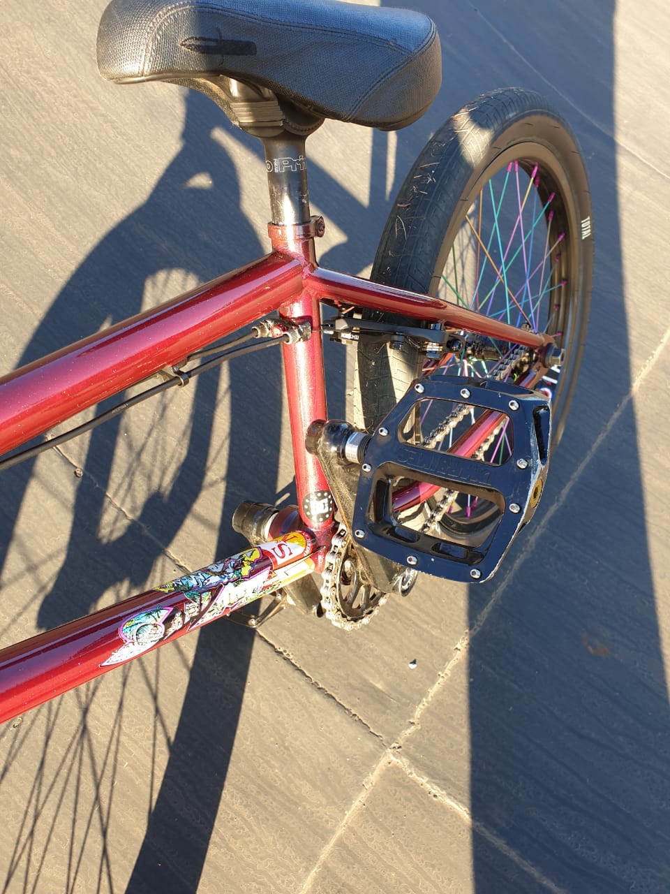 Jacques Bike Check 2019
