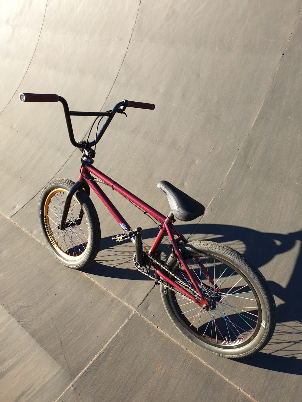 Jacques Bike Check 2019