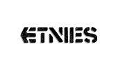Etnies BMX Shoes