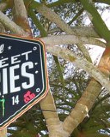 bmxdirect – streetseries – thumbb bmxdirect - streetseries - thumbb