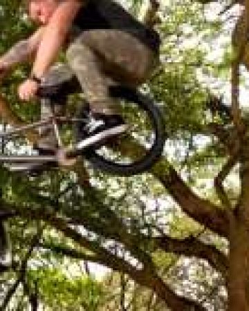 bmxdirect-stuart-primo-tbg-260