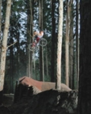 Pinetown Trails Edit